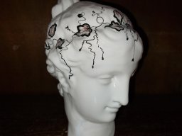 venus decor lierre